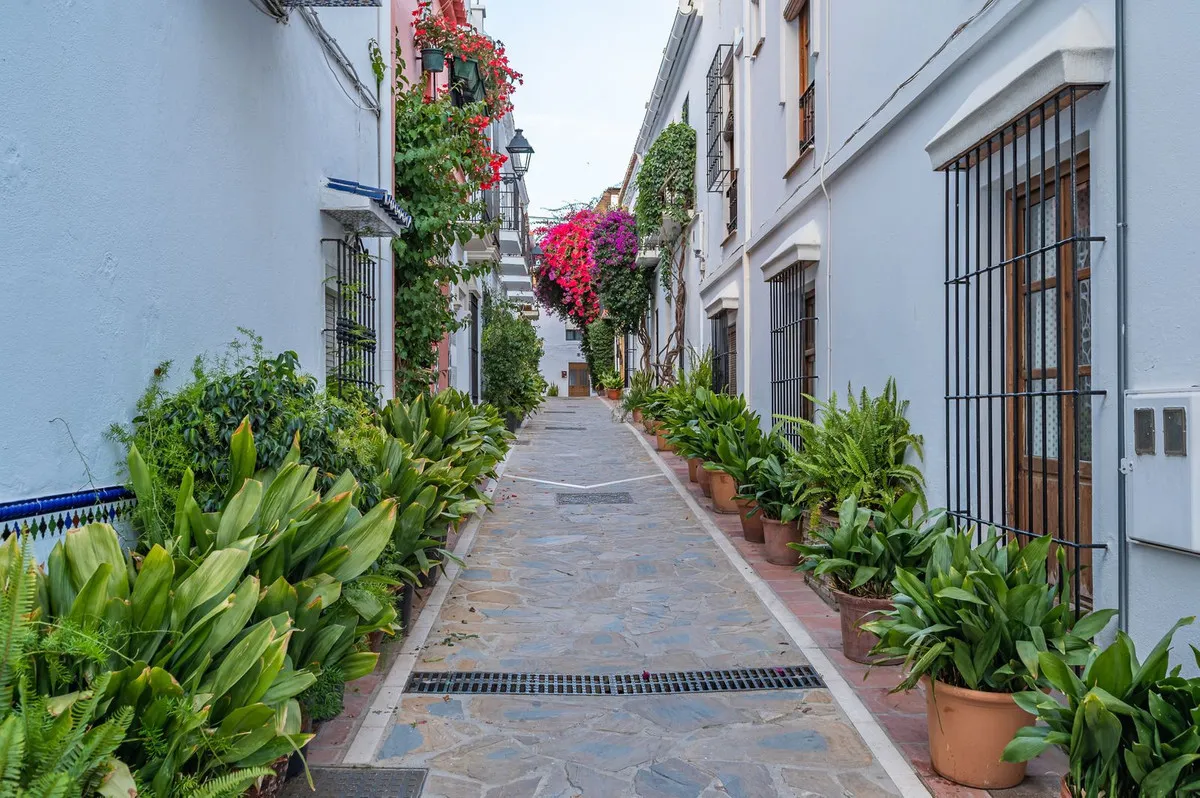 1b583b5e-d689-44f2-ac0c-011298a3df9a