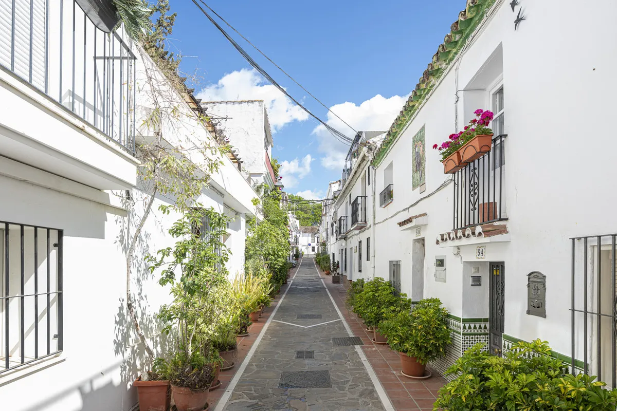 2b2e71c5-62c6-4d60-bfea-7f20a53963a4