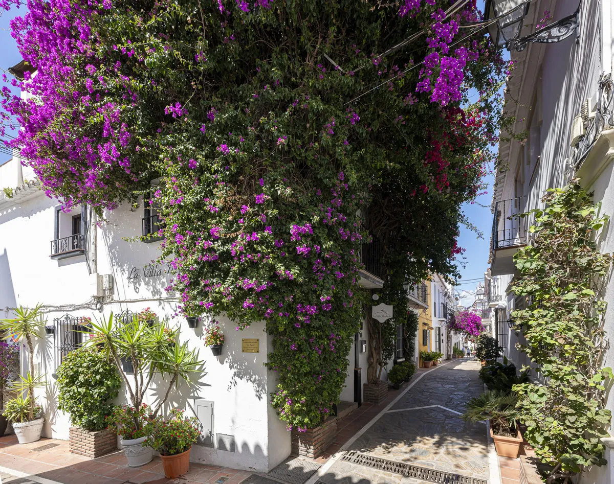 dac72a2a-6278-4510-a3d1-91202d54c0b7