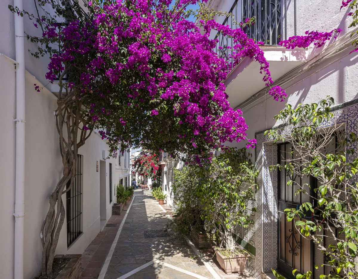 e407fdd9-115c-49cf-9cc7-819447d2a611