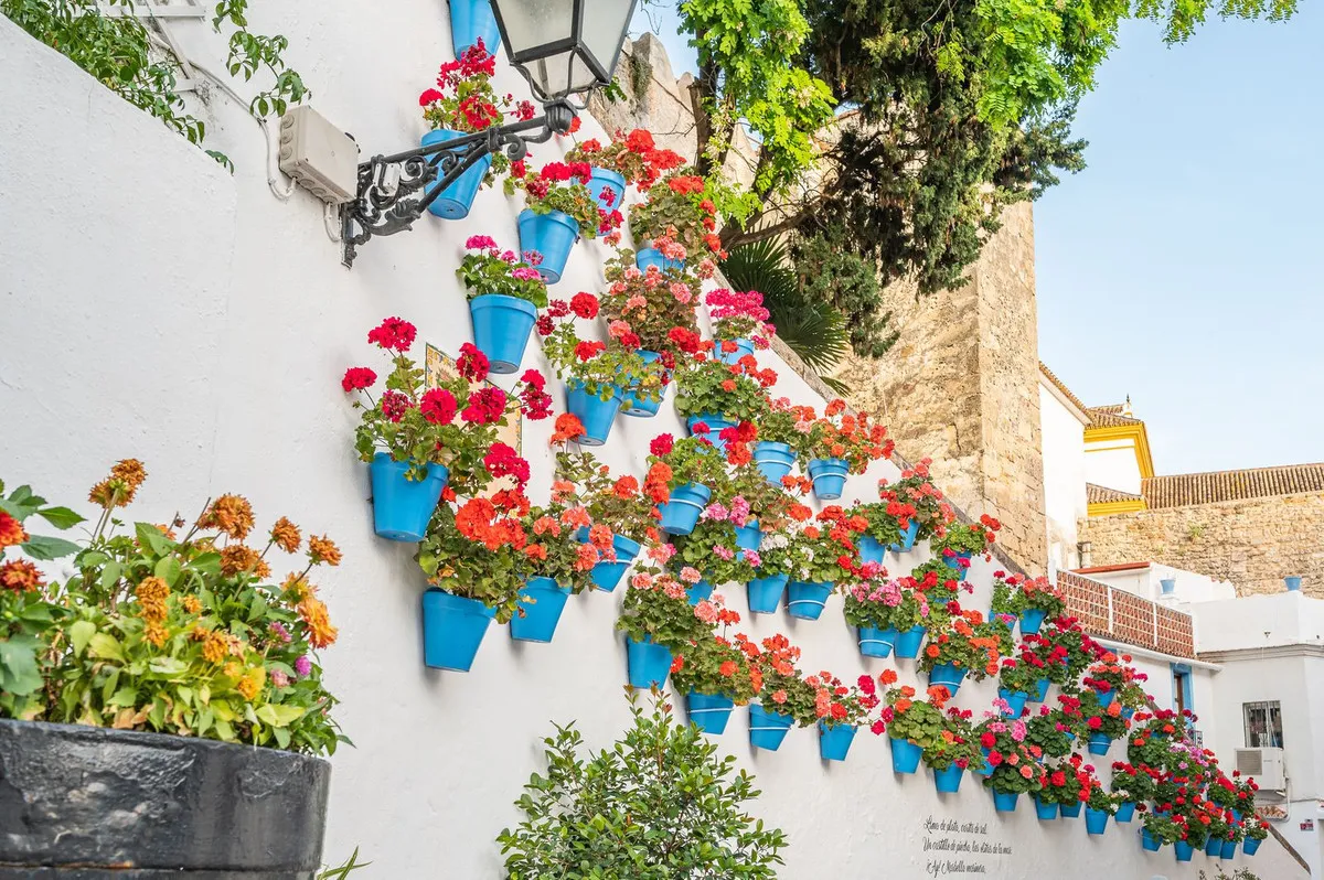 f11ecfff-92f3-45f4-a3fe-31966bdaa762