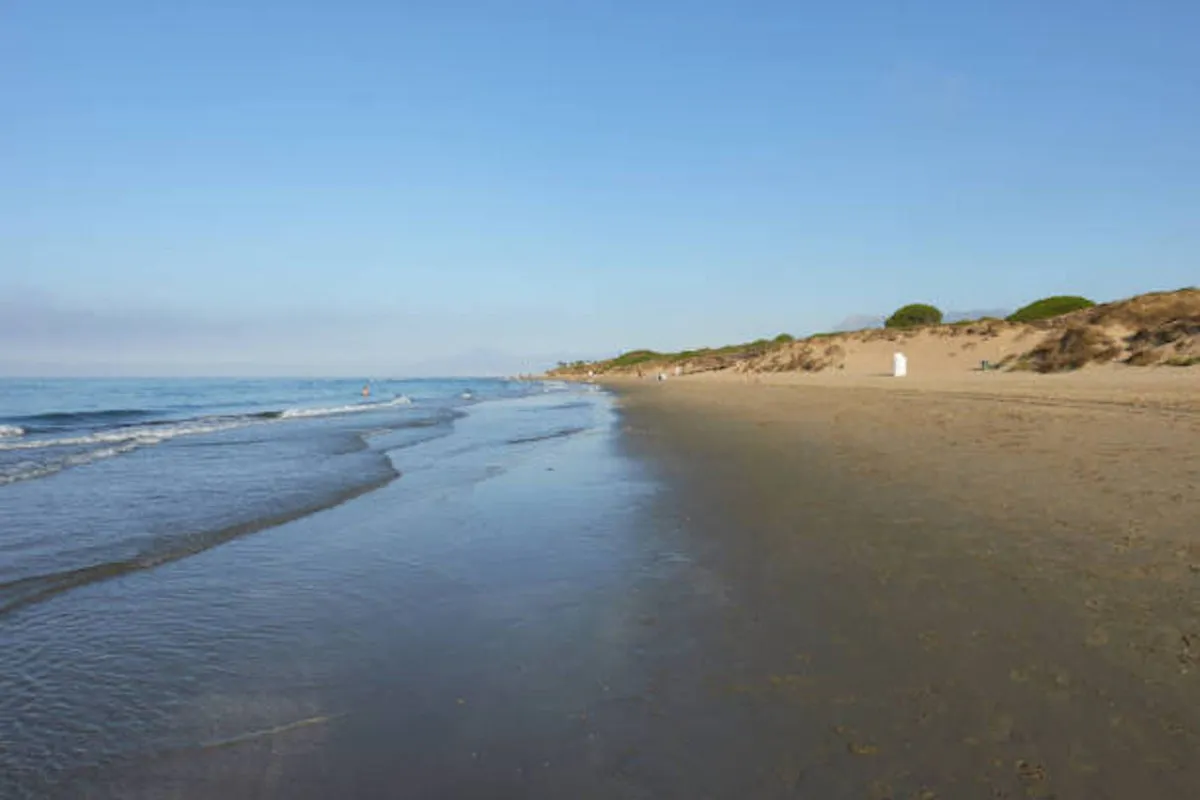 95258ca1-7bc2-4900-bf0d-b1709604e107