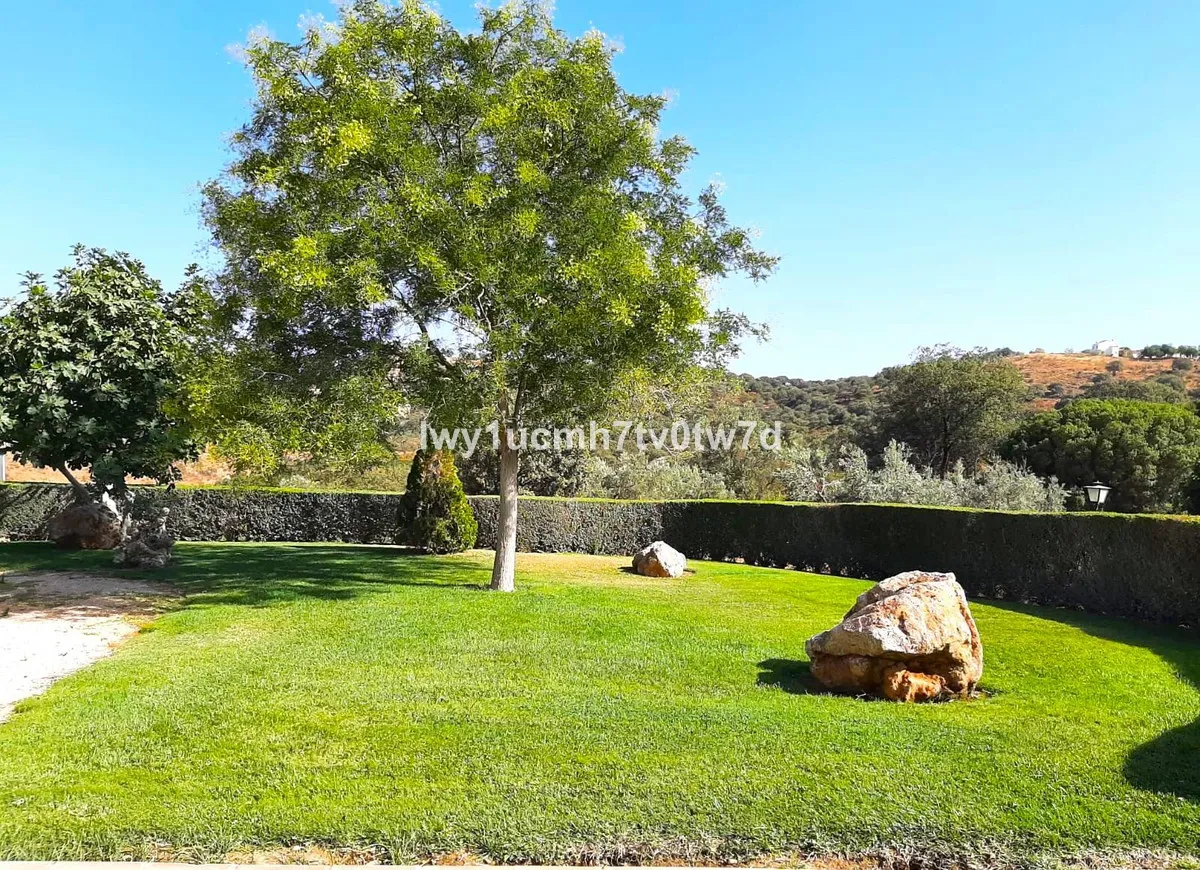 30922392-0eed-43d0-a4aa-b4d33621352b