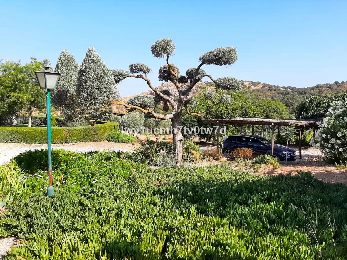 57981109-6a70-4213-b286-5909e5f99c0b