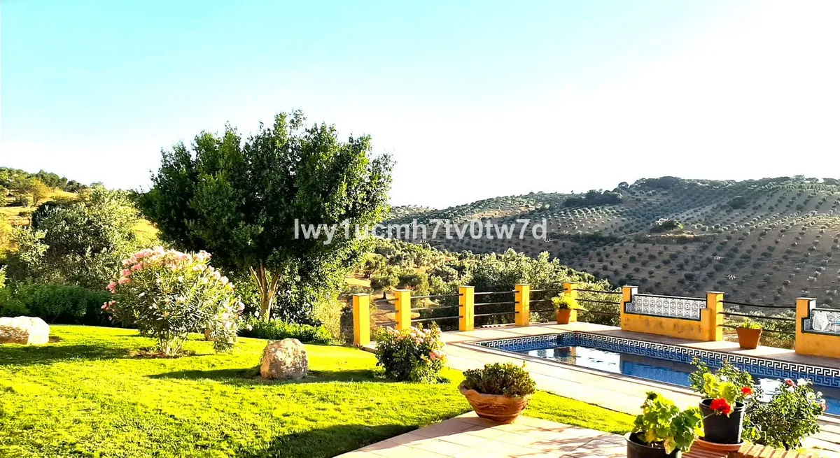 6abd4d99-80dd-4f43-be70-e428ea03e33b