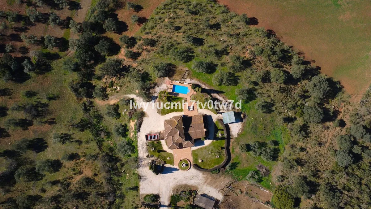 b41176ce-ee58-4af2-8f71-047da30bf9ae