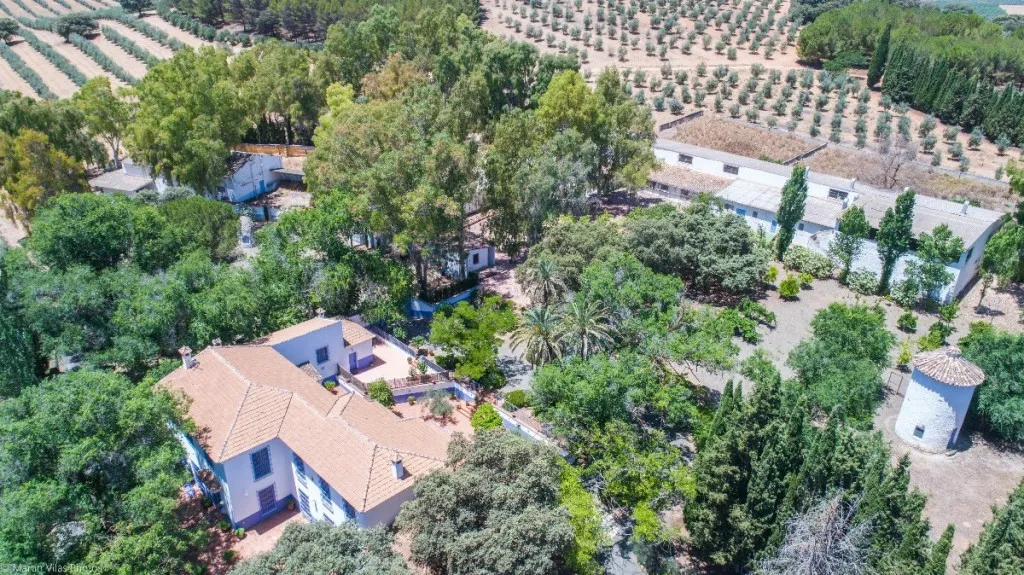 08866c31-c4e1-4ff2-b622-808bbbbc6248