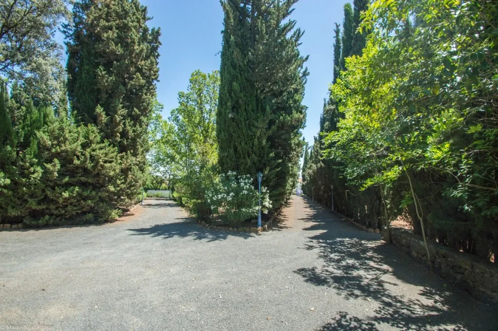 31037989-5881-4acc-97f6-7c038da4af8d