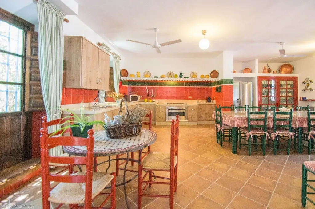 31591005-4325-4046-85ce-a8e362570764