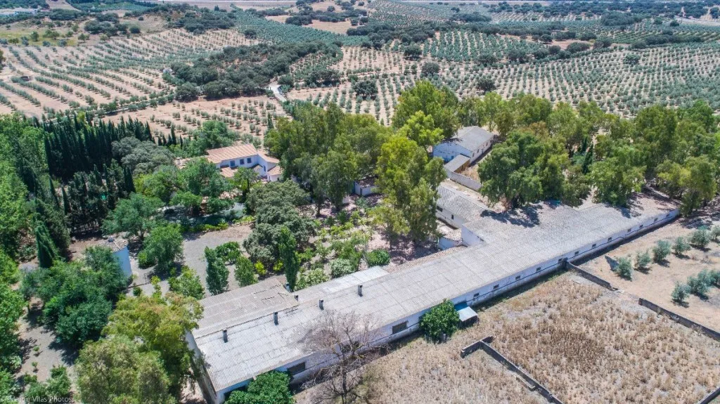 54fe4623-aa81-4ba6-8960-bcba350f1d35