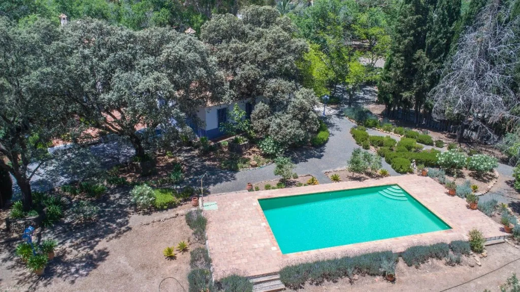 717ee47c-5919-4415-a994-0f186e088d62