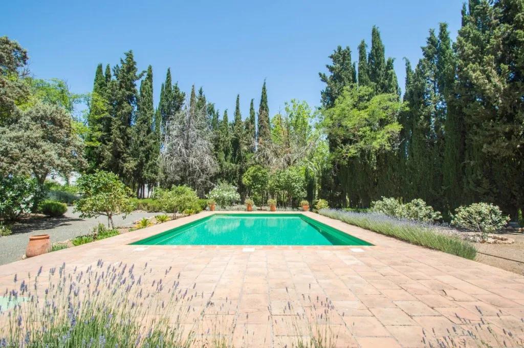 9d909d05-8a3f-4021-987b-5072248ea05b