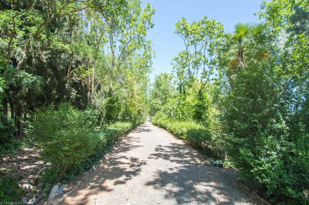 a8b0ae3e-3196-4c6e-a969-9ed6acbfdf63