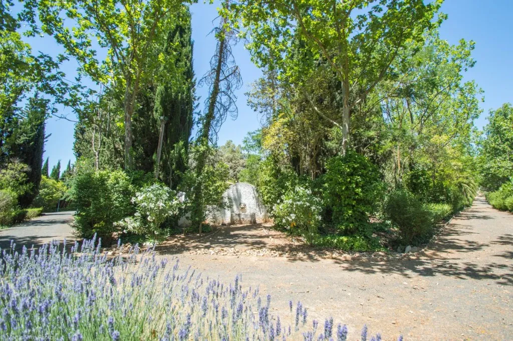 d91e1488-063d-4170-9f7c-47d0a233e4ca