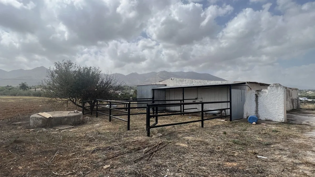 bef1ae51-3239-4e55-abd6-5bf77c943010