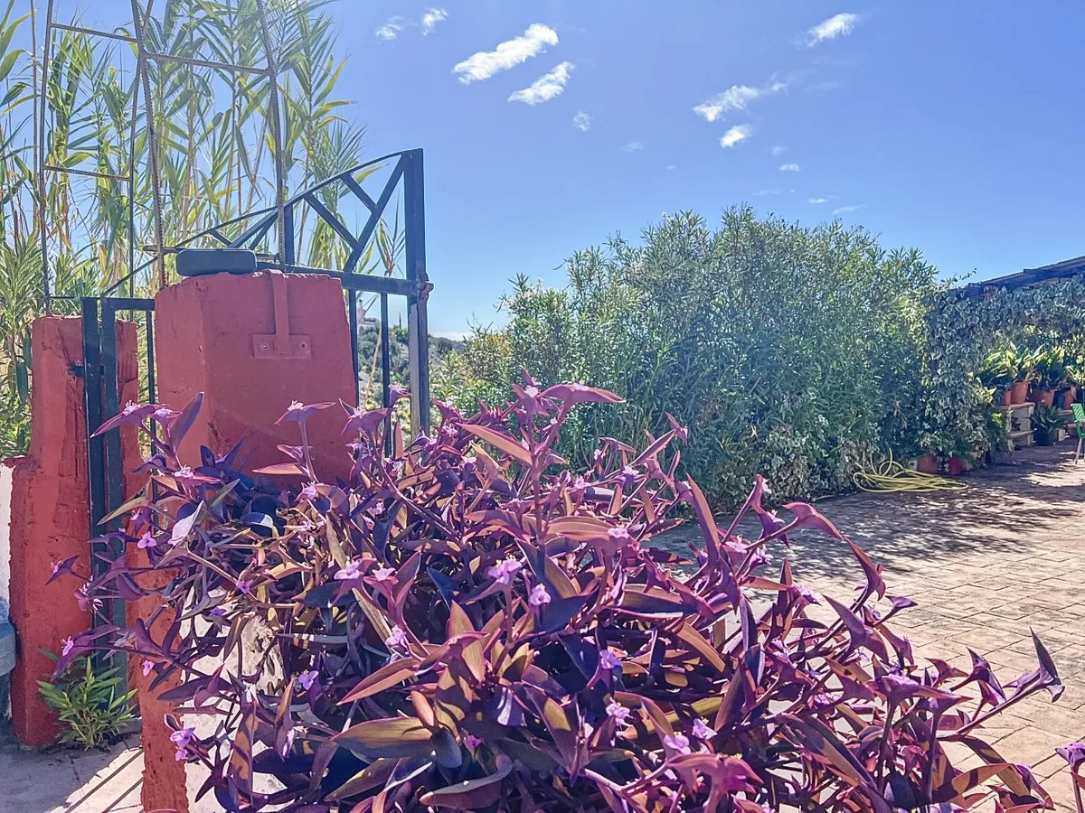 26cef52a-2eec-4ad9-ac85-b3228198cb1e