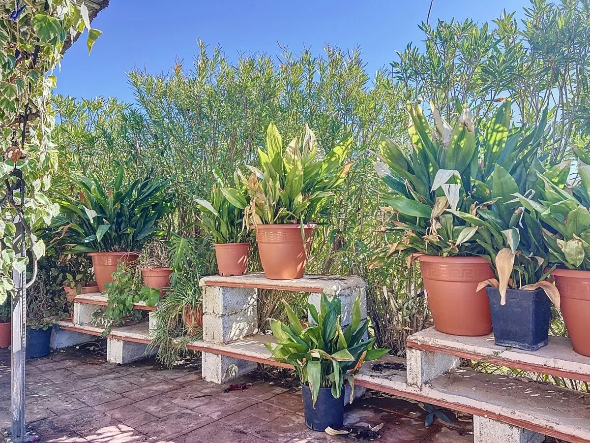 2a519433-912f-4714-8b60-659cd94c9c49