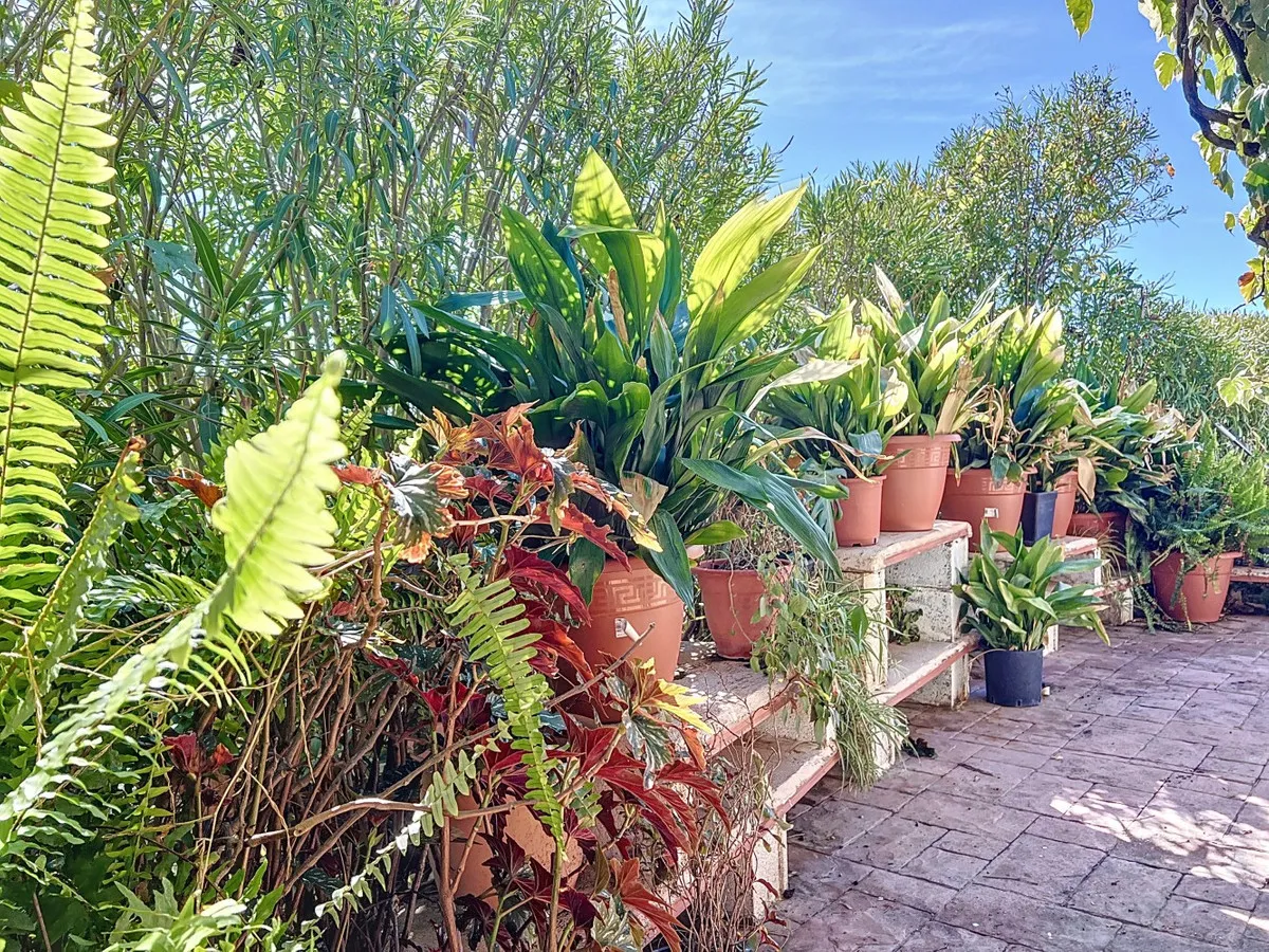 a8fa85e9-0c2c-460e-98ba-4d632d65e5cc