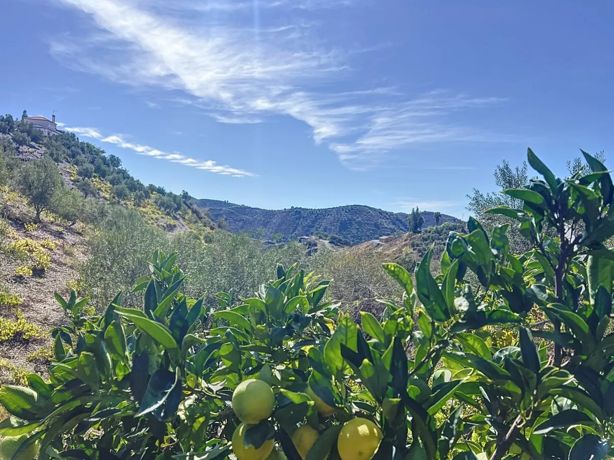 d0625175-ce12-4e1e-92d4-80fc1a869383