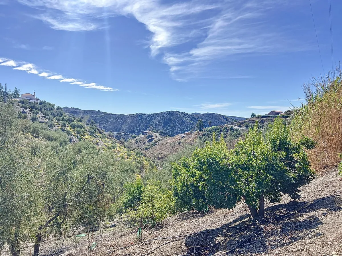 e13fdd81-b17d-44da-b5ea-61d56a6cfc73