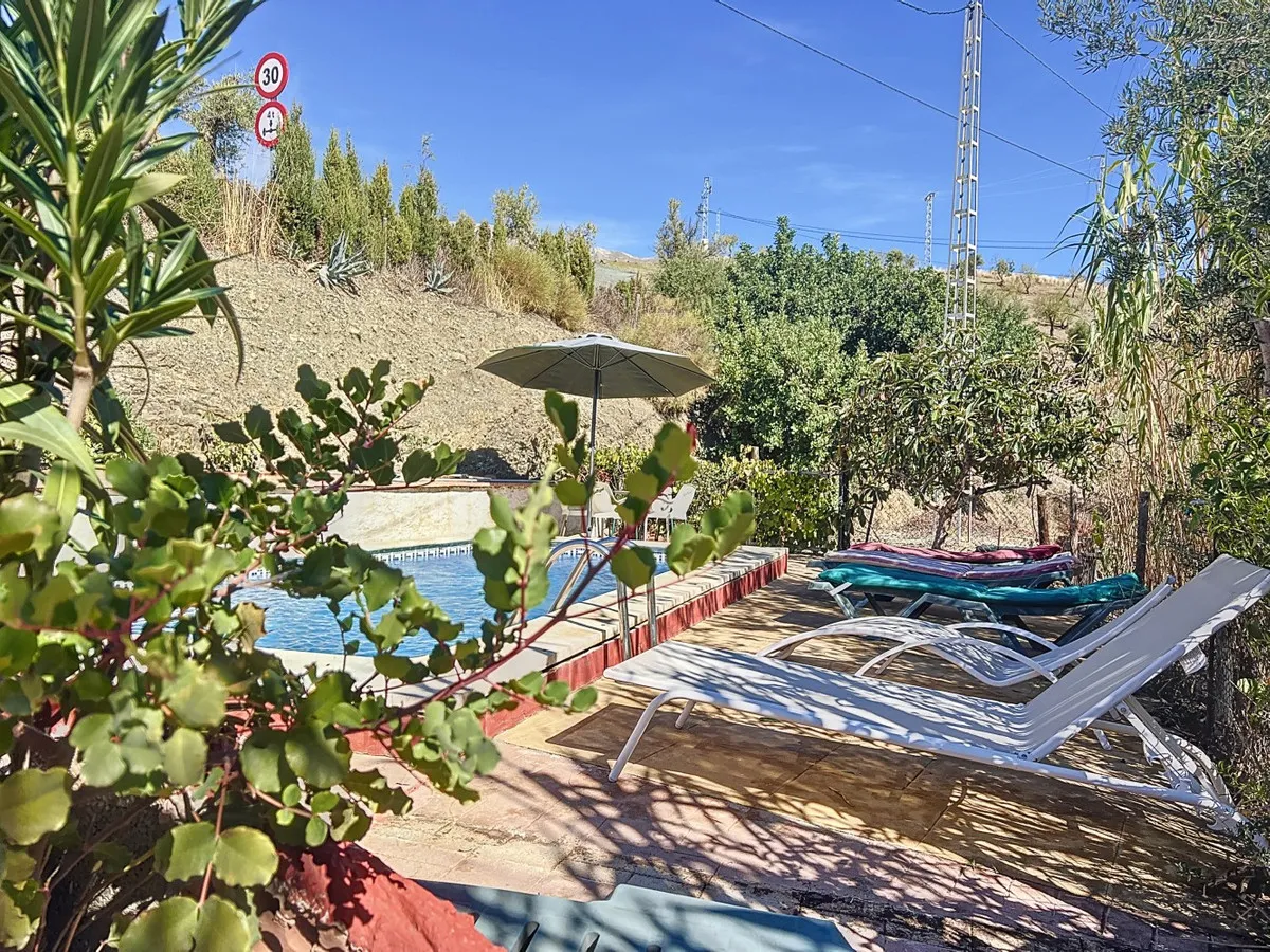 ebe0f8d9-1252-46d2-a87a-481fde1a470b