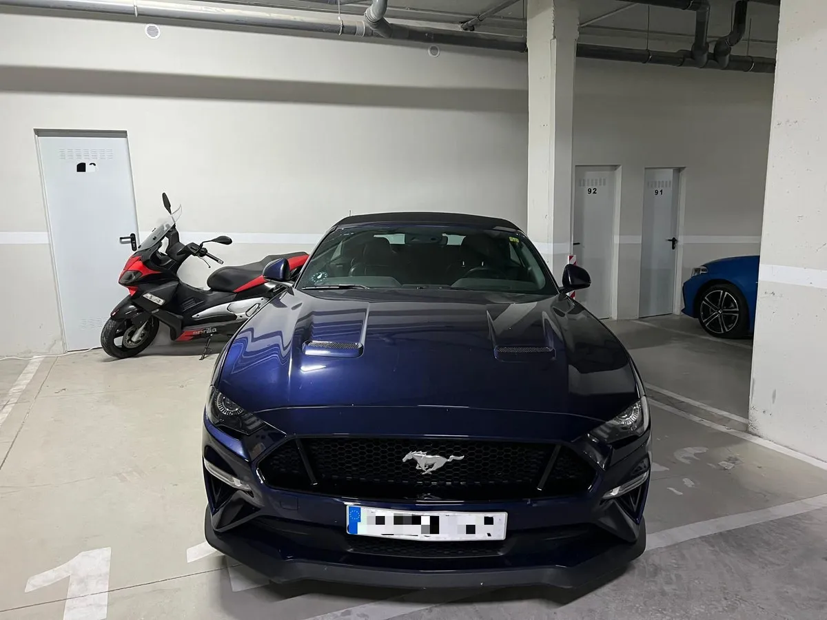 03391297-fc2a-4b8e-92b8-b68281f036e2