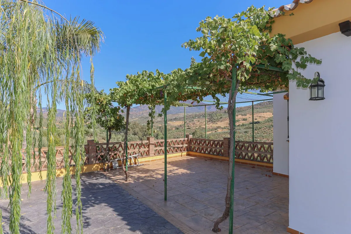 783e225a-46d6-41d5-9d45-88259b34e552