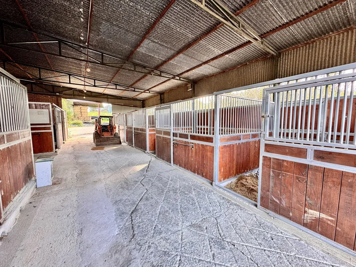 2e7a92af-ff70-4f36-a86f-839bdd21dc1a