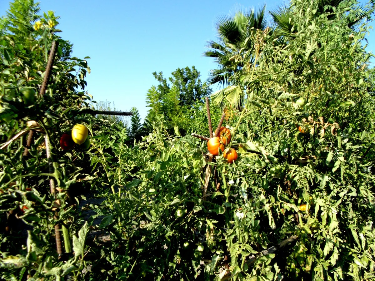 326a4041-602a-45b0-8431-eb9c46498110