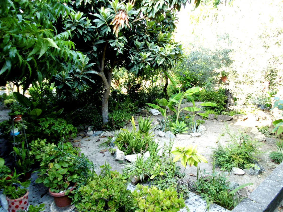 4fdaae3c-be67-473a-8b17-ce5d20d946de