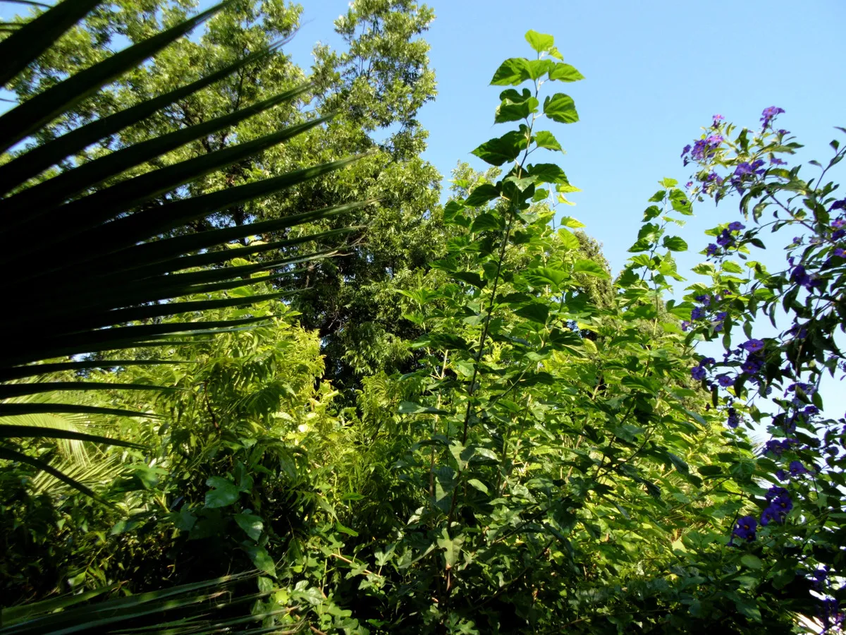 76f000d0-44c2-42dc-9a58-7a2fd28ce81a