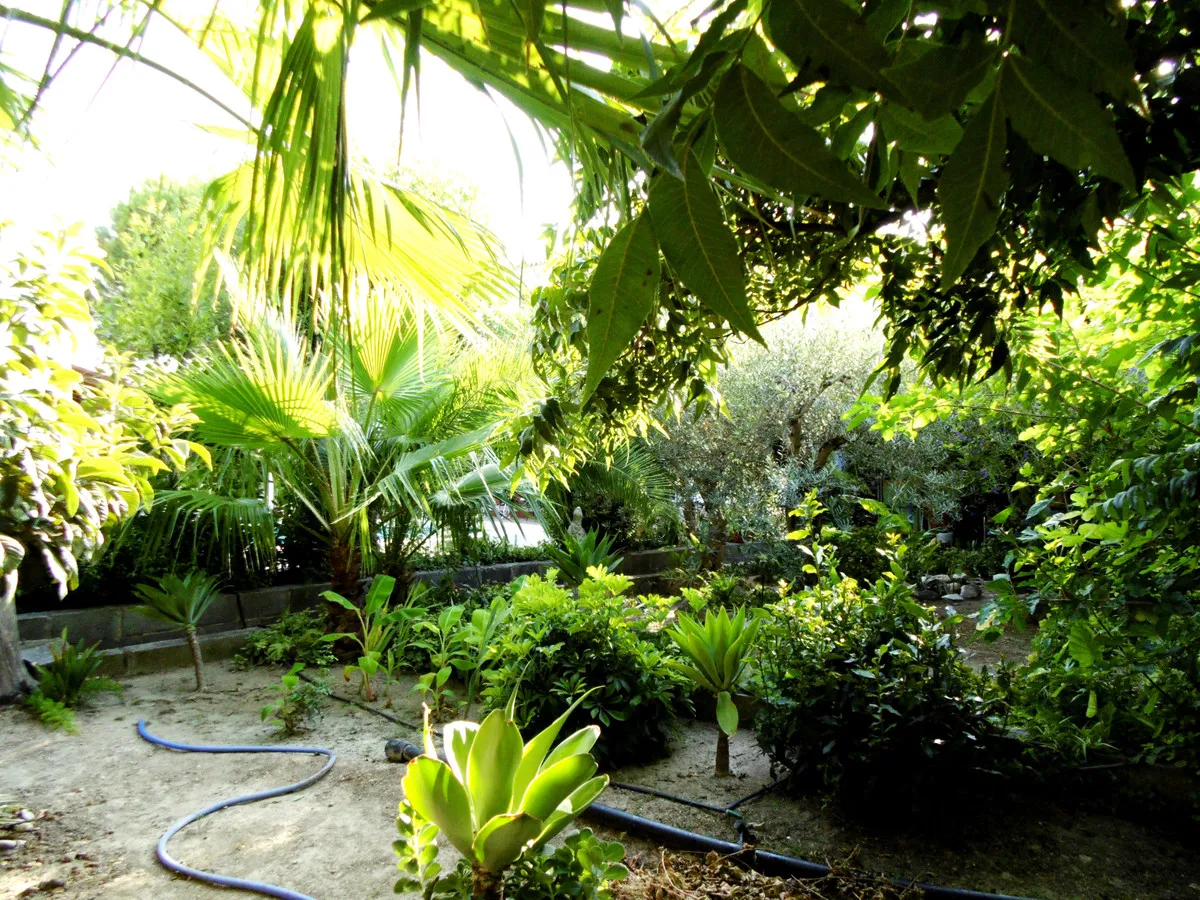 92ad8dae-abe2-4539-a9dd-525f90b9a16a