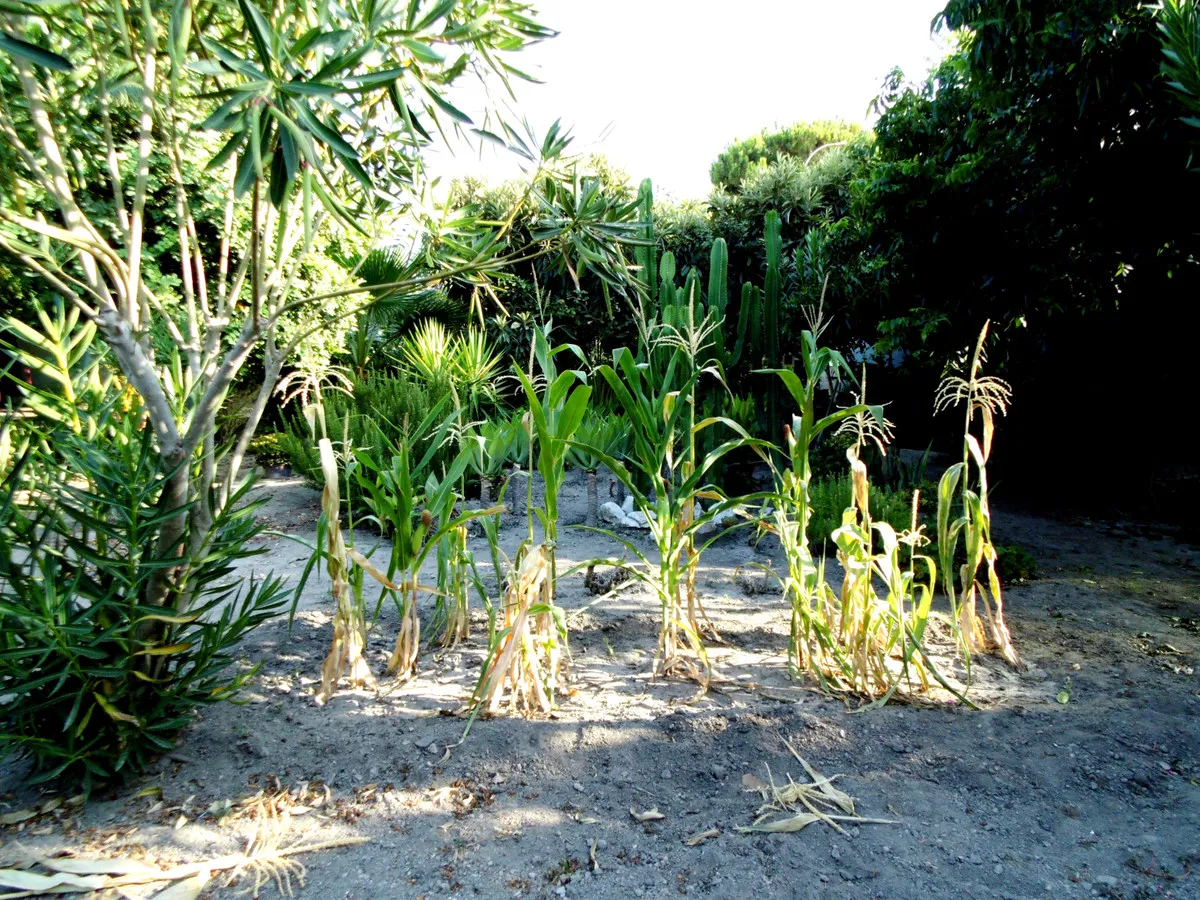 943a6301-e1da-489f-ab34-21d957bb26ae