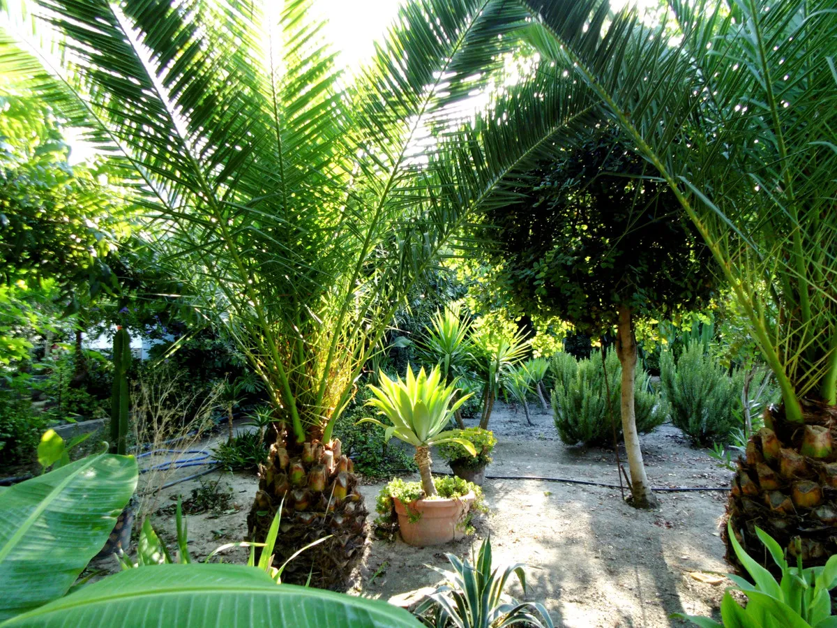 a6d29e18-77d8-4703-86bc-433071677dd5