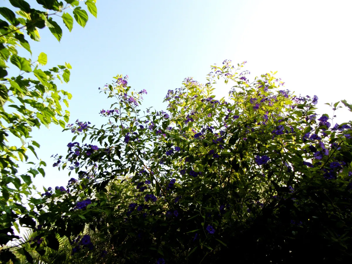 ec3c6376-6fe2-4e6e-a93b-e5522ecd31ce