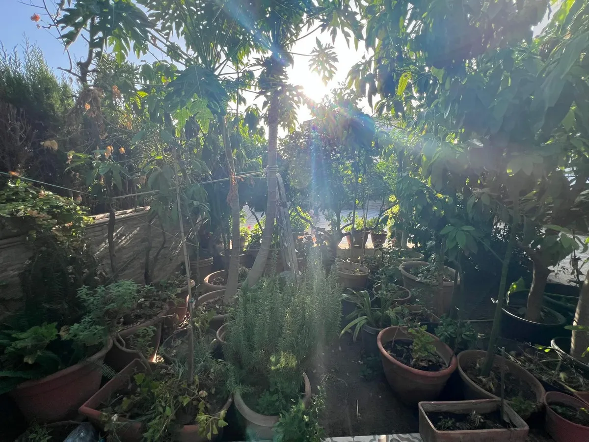 aa7b4288-8987-43c1-a111-1fb5cfe2c720