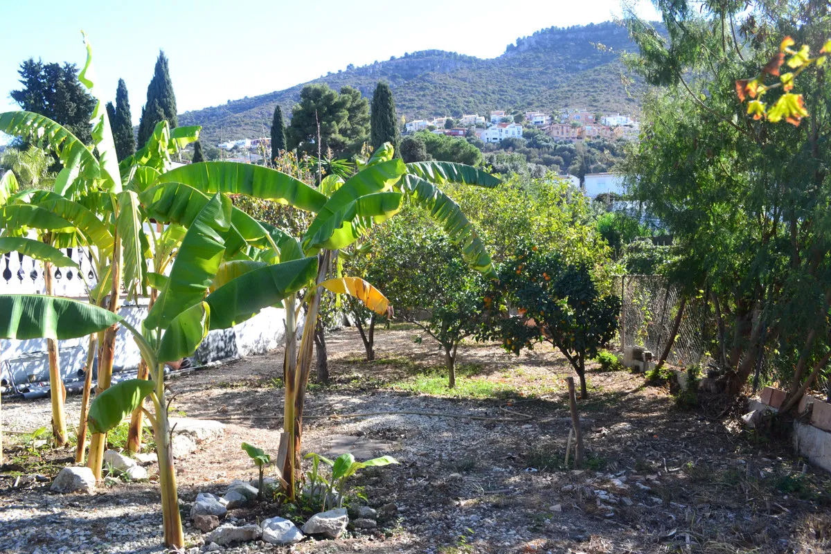 a8038821-ad25-4024-895a-aab2534272ad