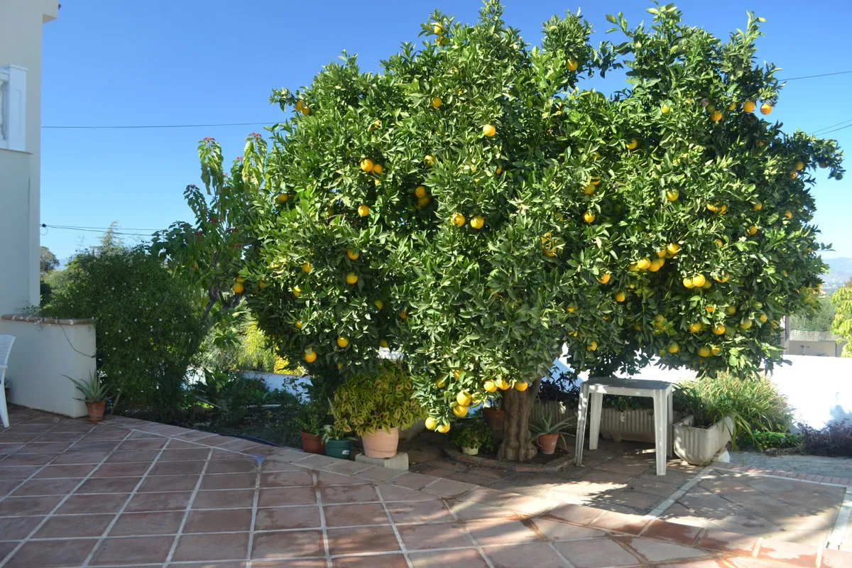 d5aefc56-bae5-43f9-a6fb-5c9e91c4afbd