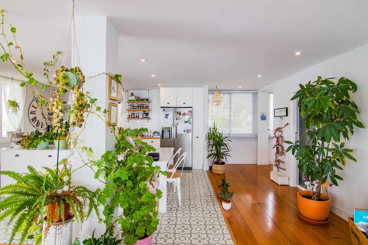 d50c3ad2-44b8-4b8d-8b04-25820032418c