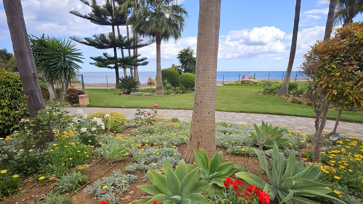 081e2e8a-0d9e-4c2c-ae88-f5dcf3cc217f