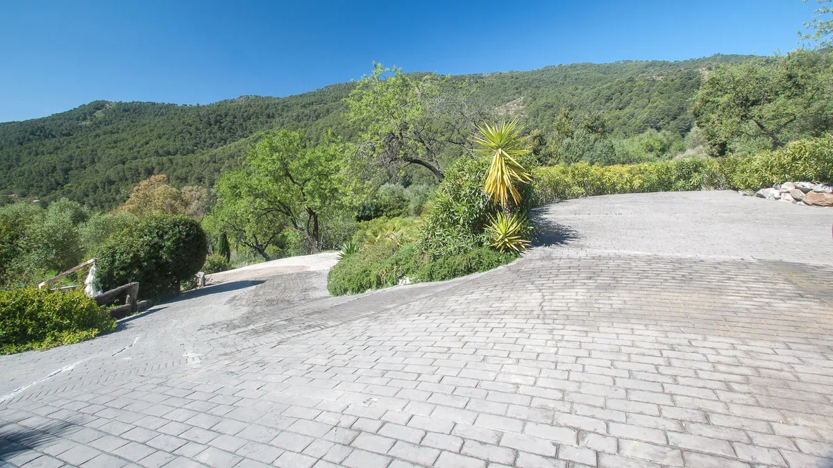 929297d2-3bc8-4718-adc1-b6f4f09bcfcf