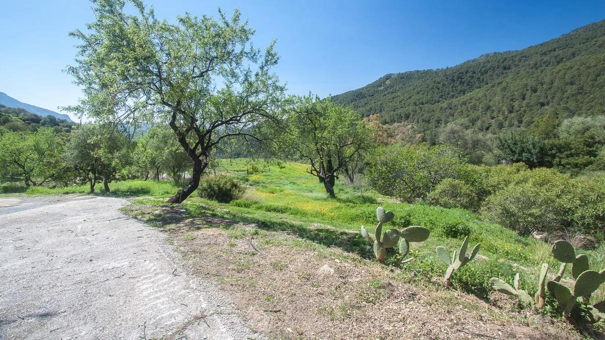 ea3f2cf2-131b-4fd1-a8e0-919b316ca2e8