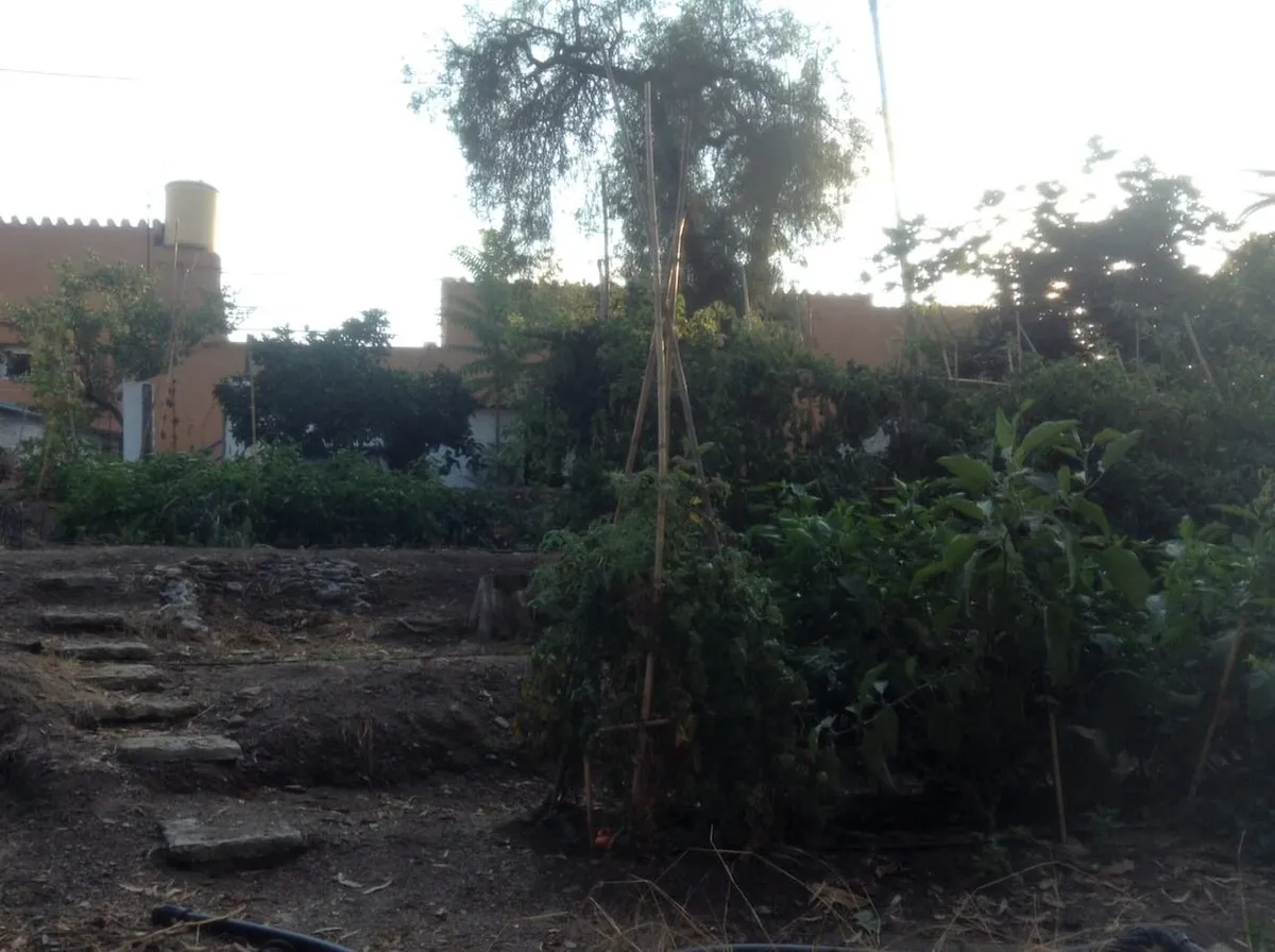 1c85aaa3-f6e6-4383-b638-476ec4f861e4