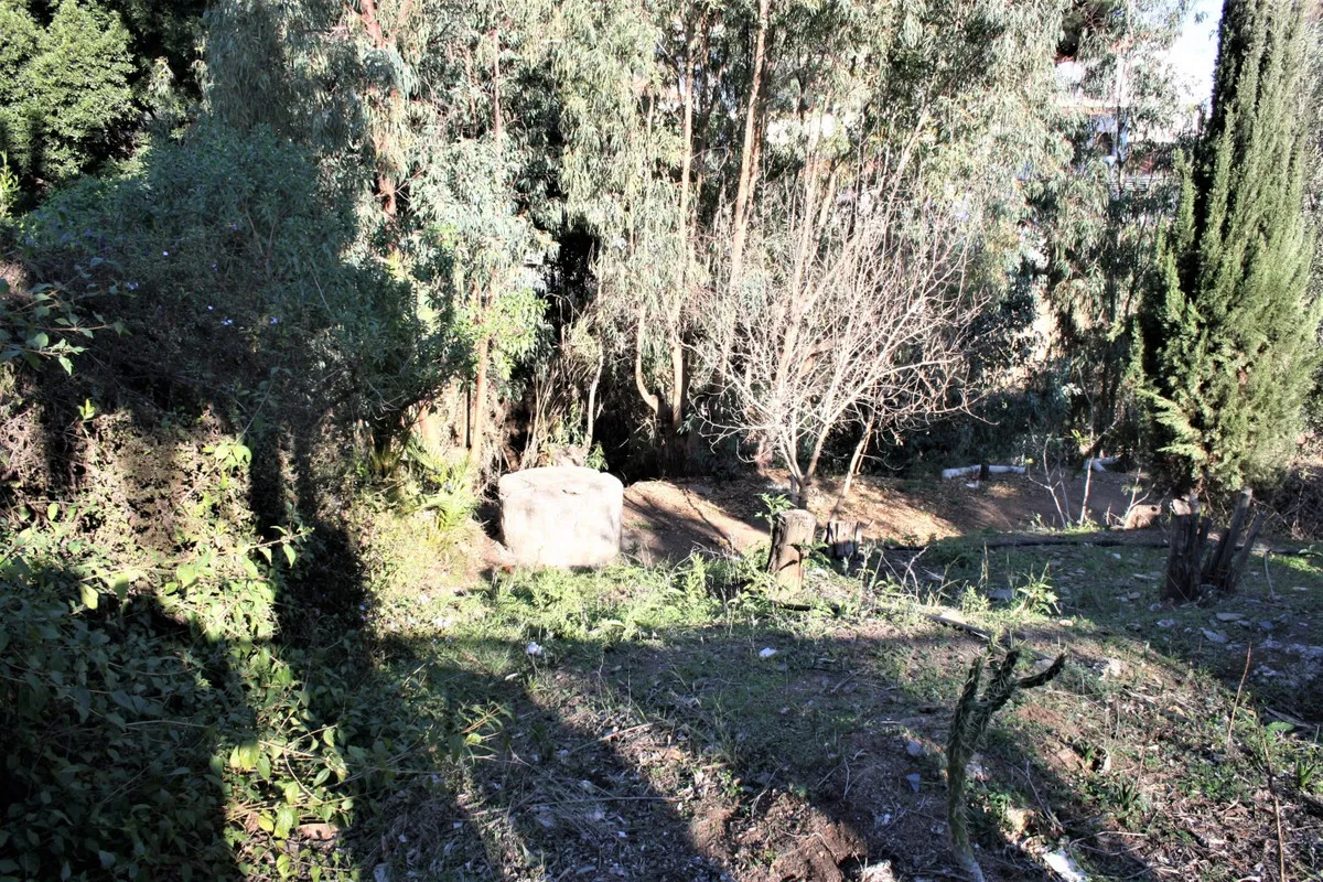 97d17b62-e3e6-41cb-85d4-c7cce38edd9b