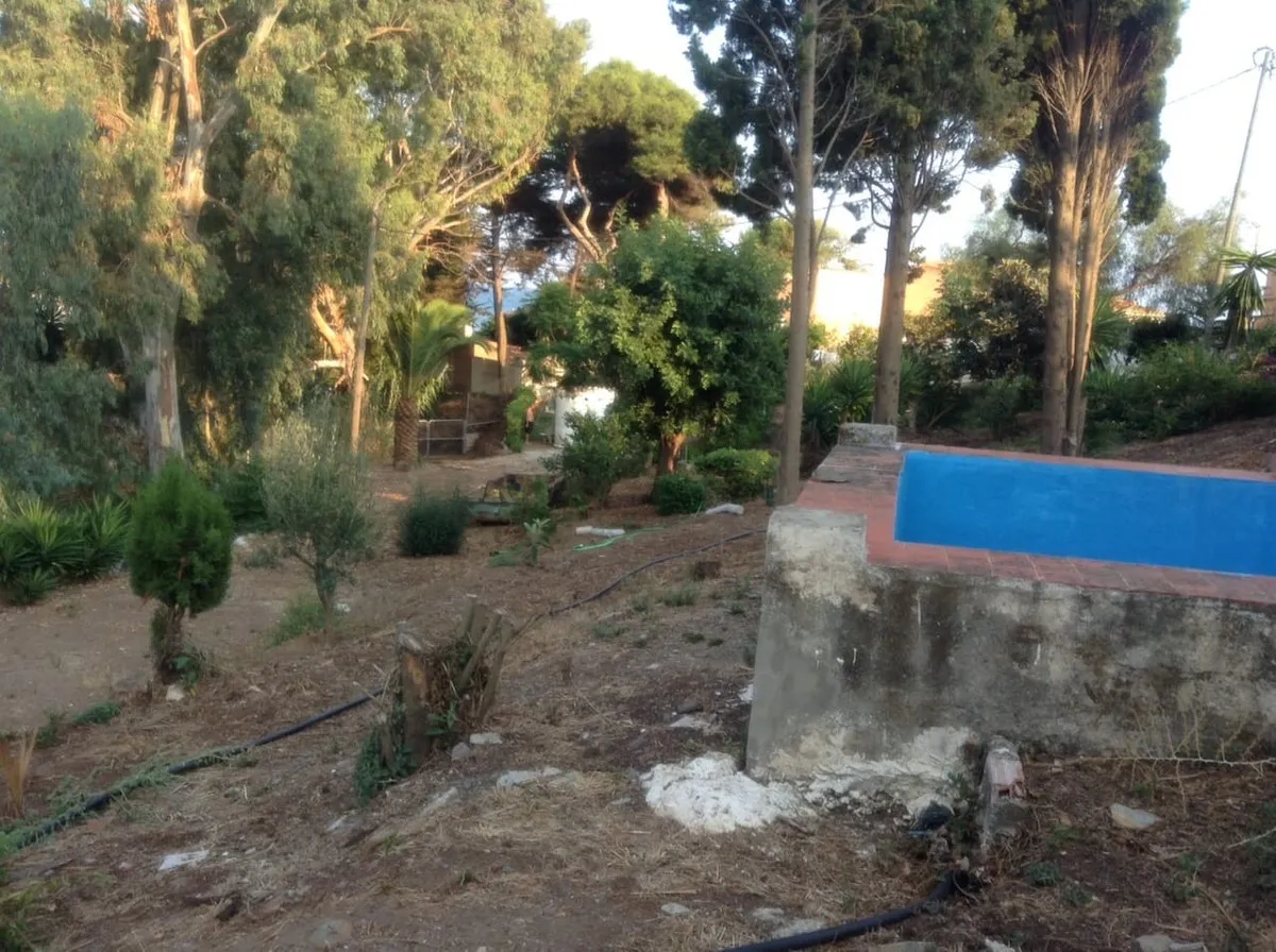 c202419c-c5f6-4566-8f61-60664ef9e5f9