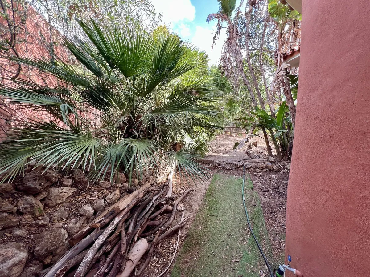 a76aee82-c28a-49a6-8929-f14103cd4021