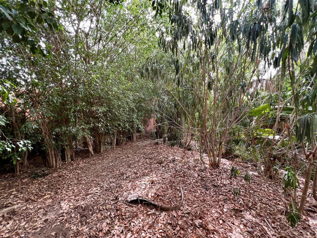 e0704d48-ac6e-4347-885c-e6b47cd08a9e