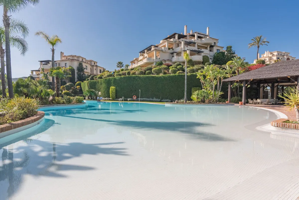 99335b85-39d3-428c-accc-d80ea82e8b1f