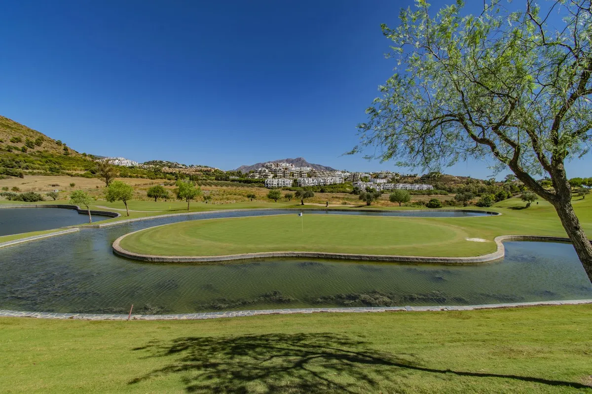 ba5cd52b-be51-43e7-9a0b-5e1b7feacab3