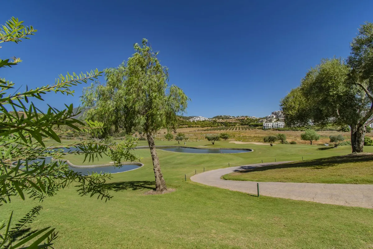 d529d667-c582-4b82-9d40-d813d2196886